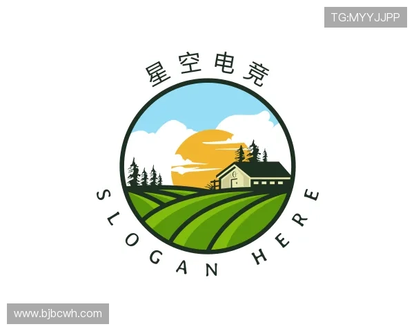 认识星空电竞